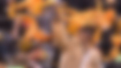 steelersfan
