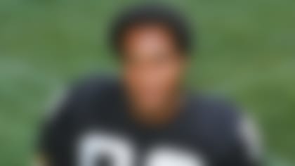 Lynn_Swann_130613_IA.jpg