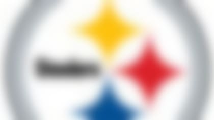 Steelers-130220-IL.jpg