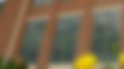lambeau
