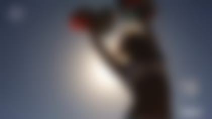Dolphins_silhouette.jpg