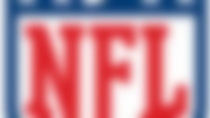 NFL_Shield_130824_HS