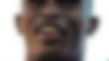 Julio_Jones_130513_HS.jpg