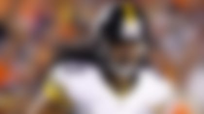 Troy_Polamalu_130613_IA.jpg