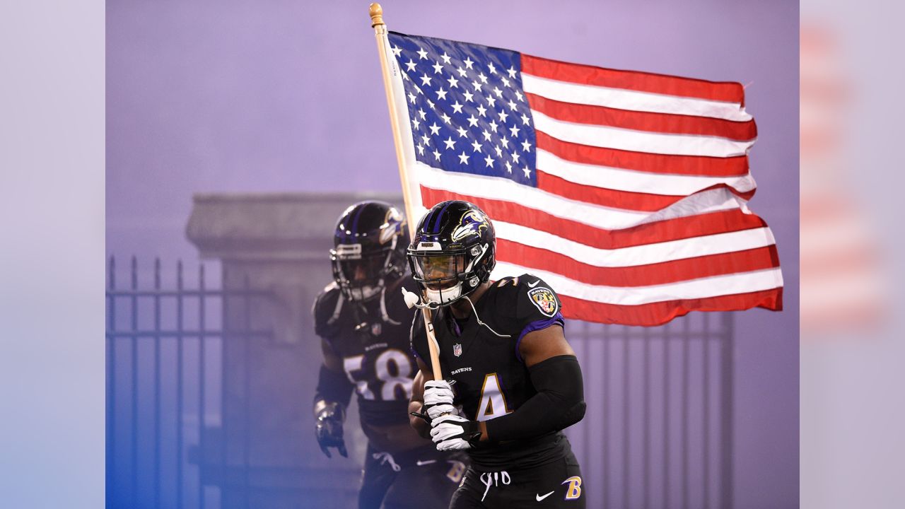 Baltimore Ravens NFL Americana Vertical Flag