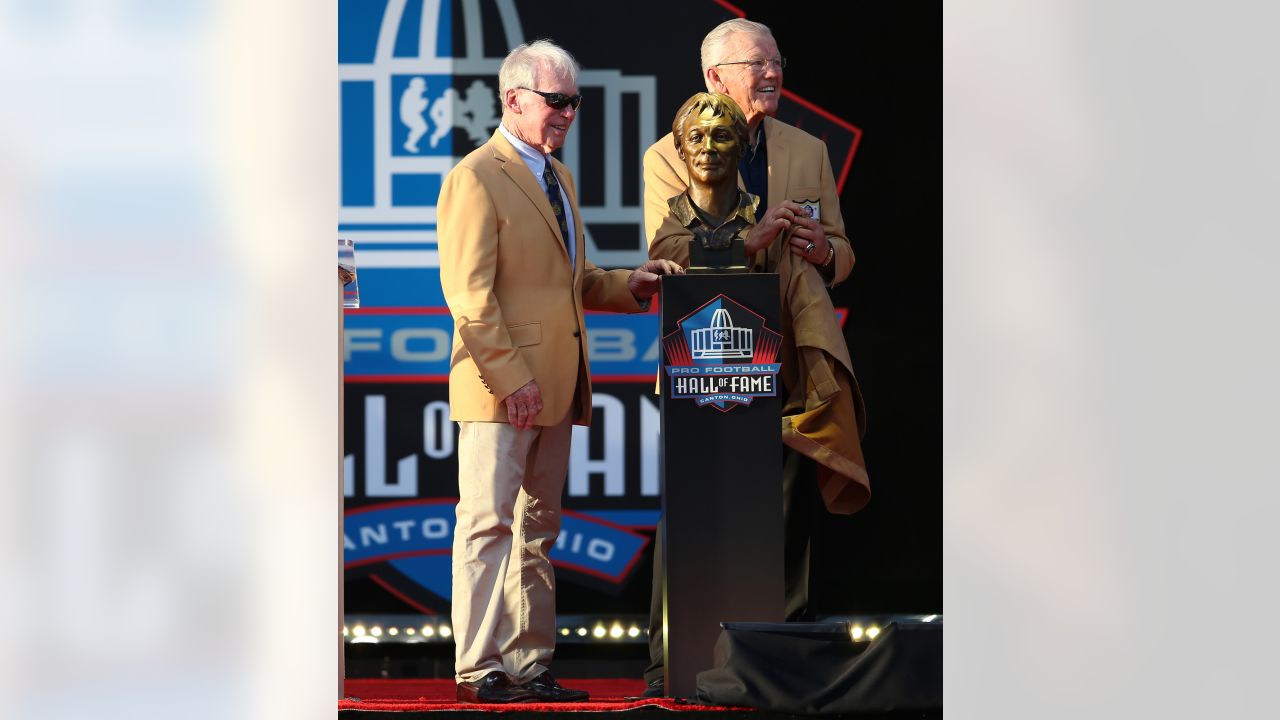 2018 Pro Football Hall of Fame induction ceremony