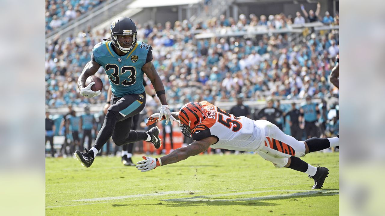 Gallery: Cincinnati Bengals at Jacksonville Jaguars, Sunday, Nov. 5