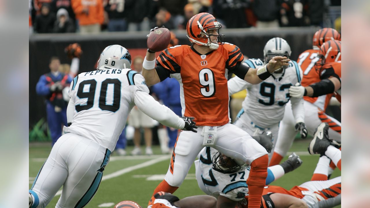 Carson Palmer of the Cincinnati Bengals looks to pass against the