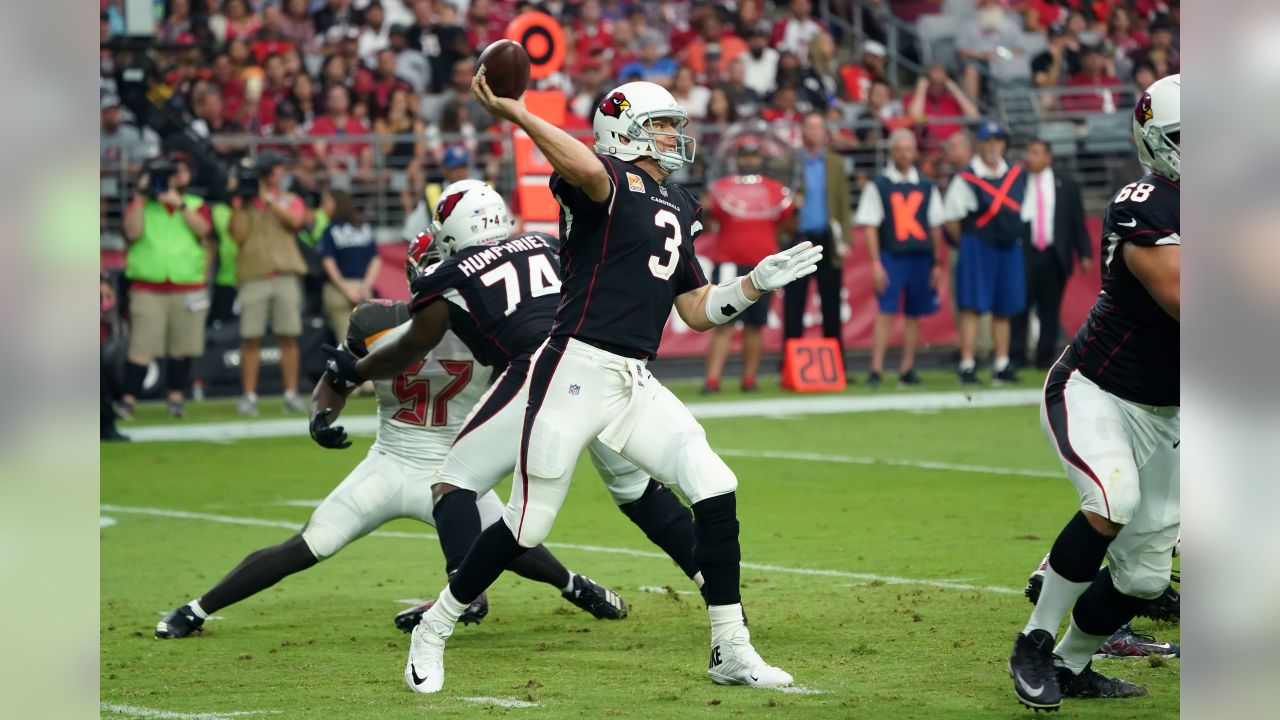 Arizona Cardinals quarterback Carson Palmer (3) throws against the Los  Angeles Rams during the first half of an NFL football game, Sunday, Oct. 2,  2016, in Glendale, Ariz. (Rick Scuteri/AP)