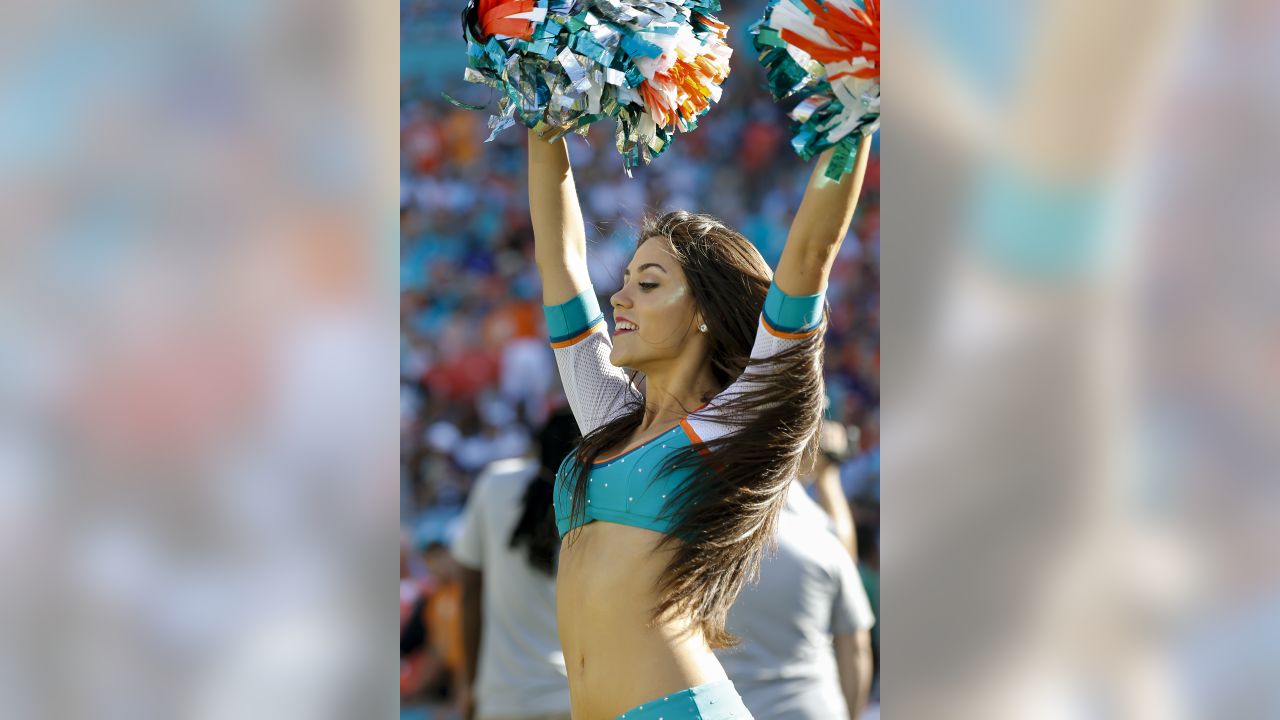 Best of Miami Dolphins Cheerleaders 2014