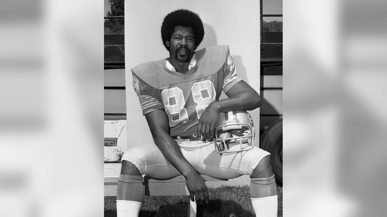 43 Charlie Sanders Lions Stock Photos, High-Res Pictures, and