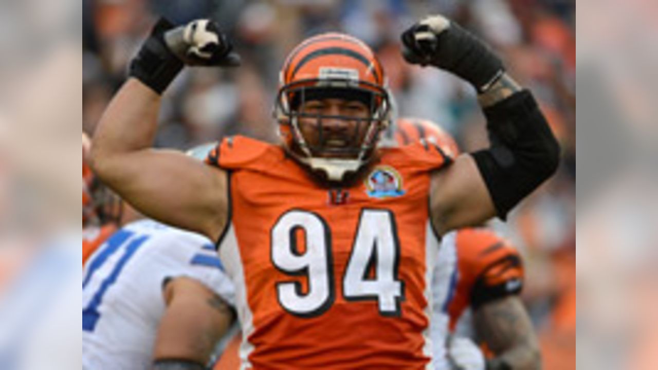 Detroit Lions and Former MSU Spartan Domata Peko working on a deal