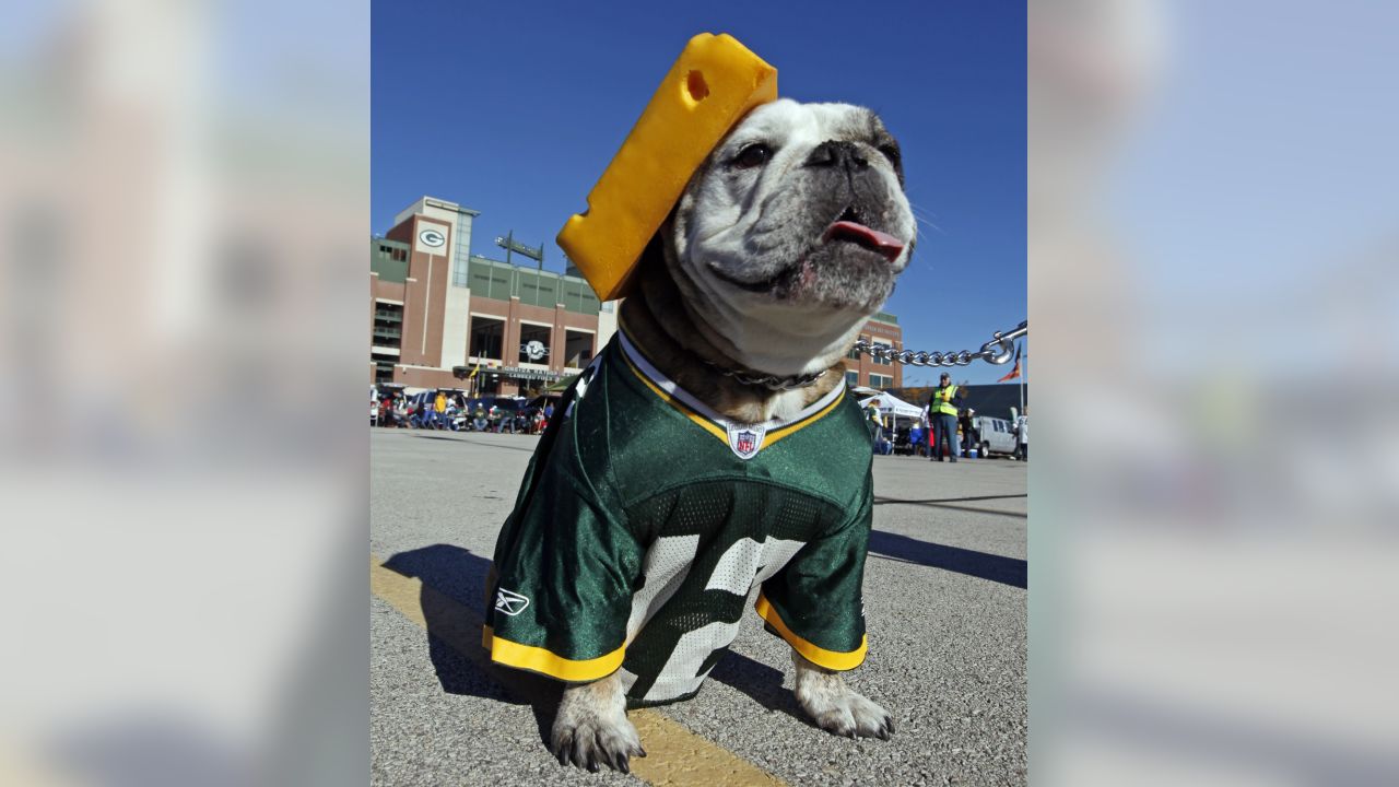 nfl clothing for dogs