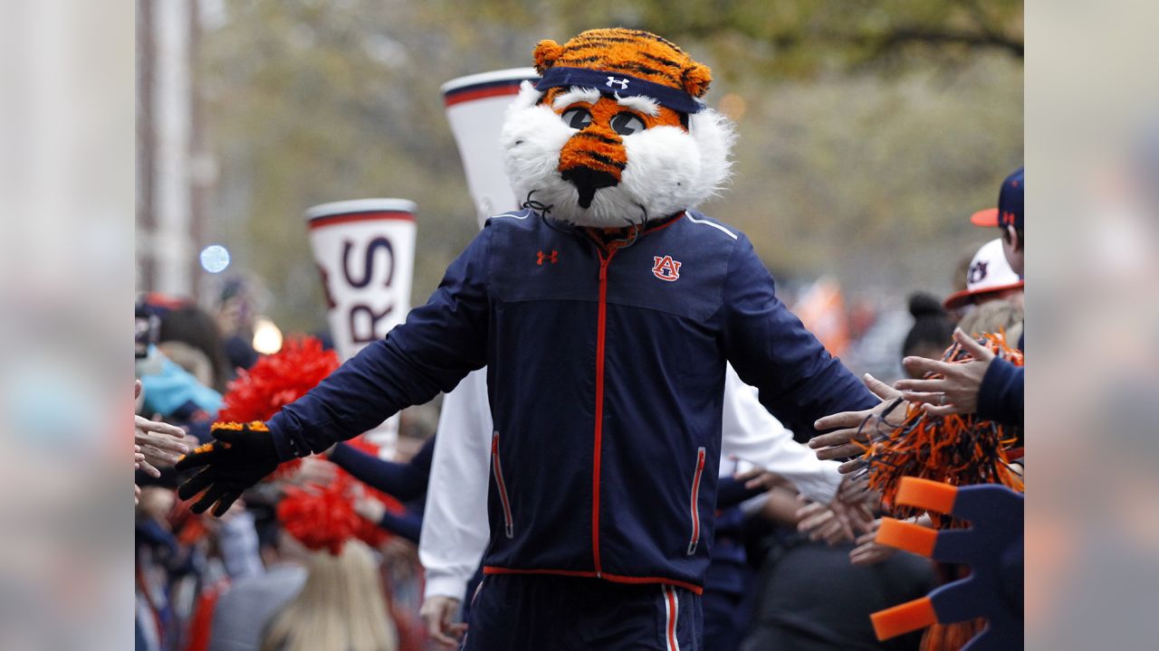 In Loving Memory of Swagger ~ Cleveland Browns First Live Mascot