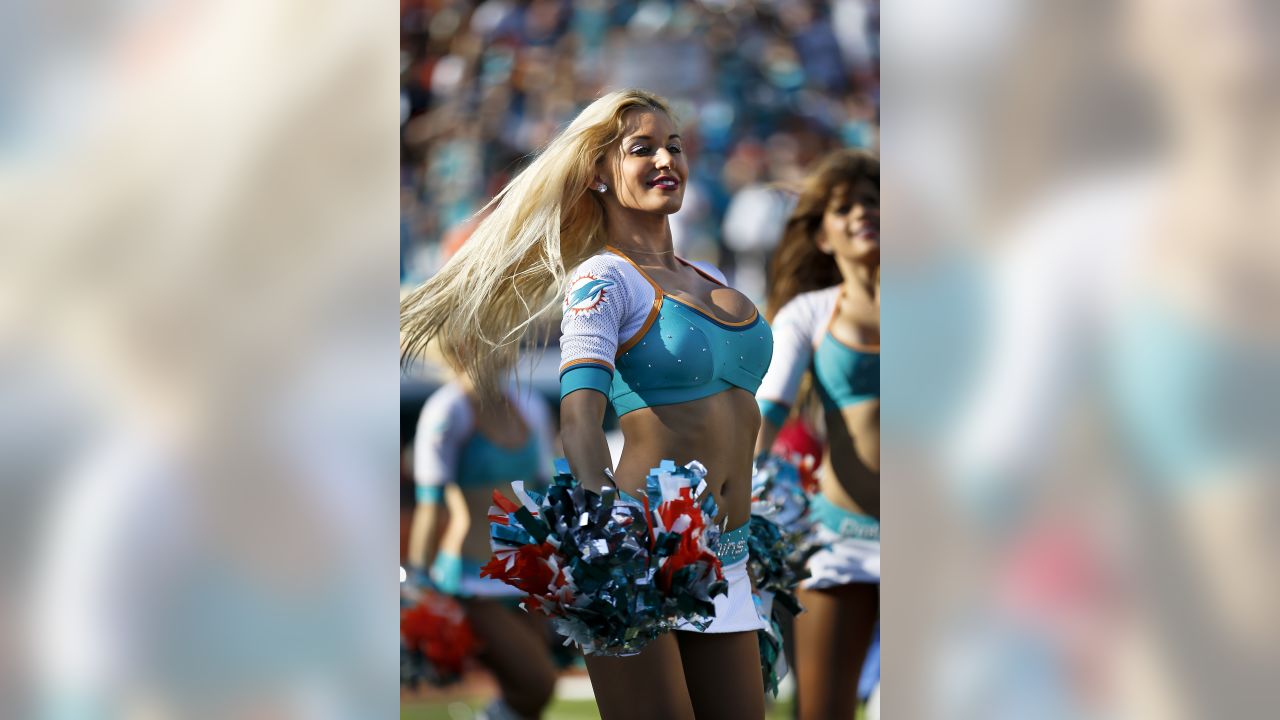 Best of Miami Dolphins Cheerleaders 2014