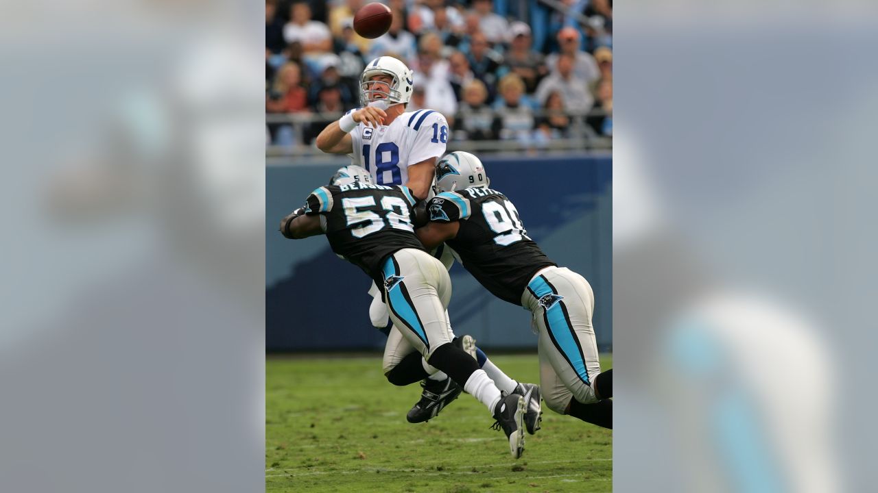 signed Mike Fox 8 x 10 photo NFL Carolina Panthers #93 Defensive End