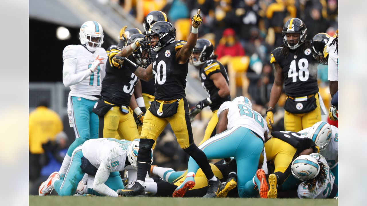 2017 NFL Playoffs: Key info for Steelers vs. Dolphins in the Wild