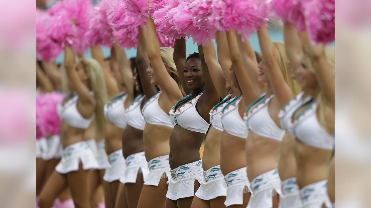 Best of Miami Dolphins Cheerleaders 2014