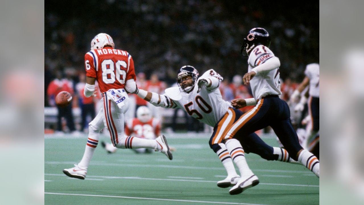 Image Gallery of Mike Singletary