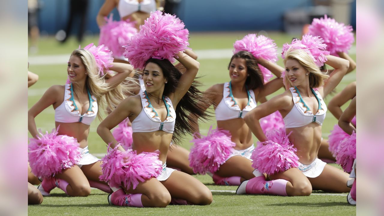 Best of Miami Dolphins Cheerleaders 2014