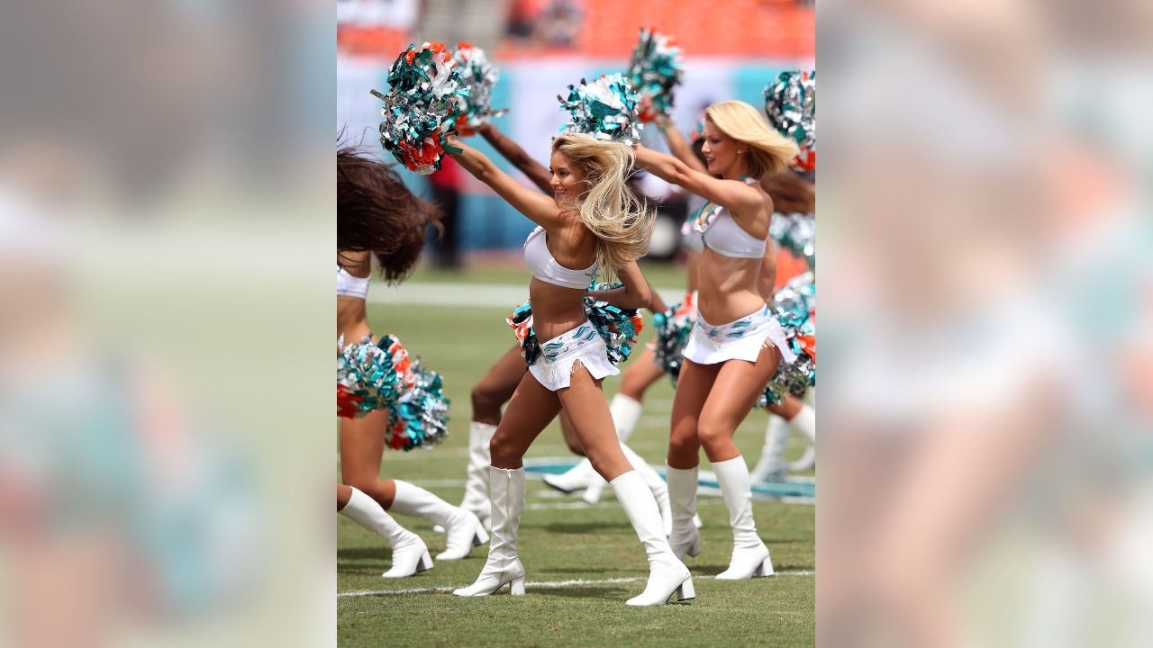 Best of Miami Dolphins Cheerleaders 2014