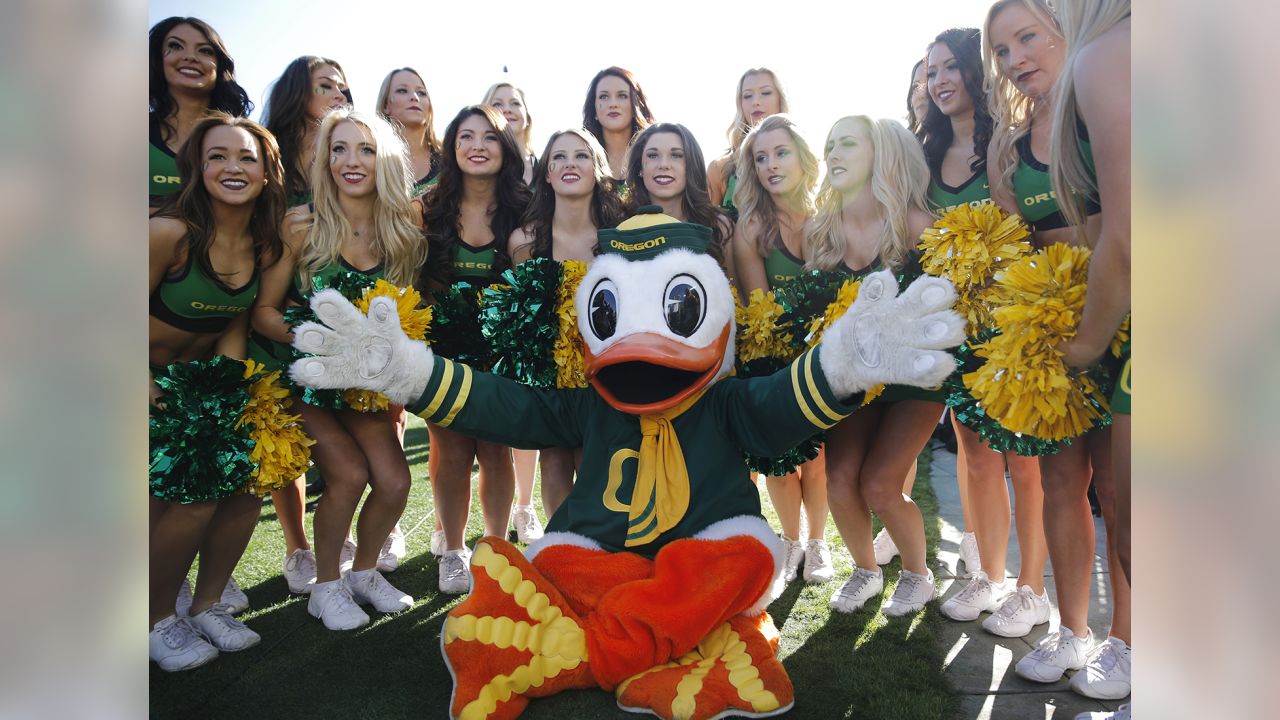 The Best and Worst NFL Mascots, According to Football Fans