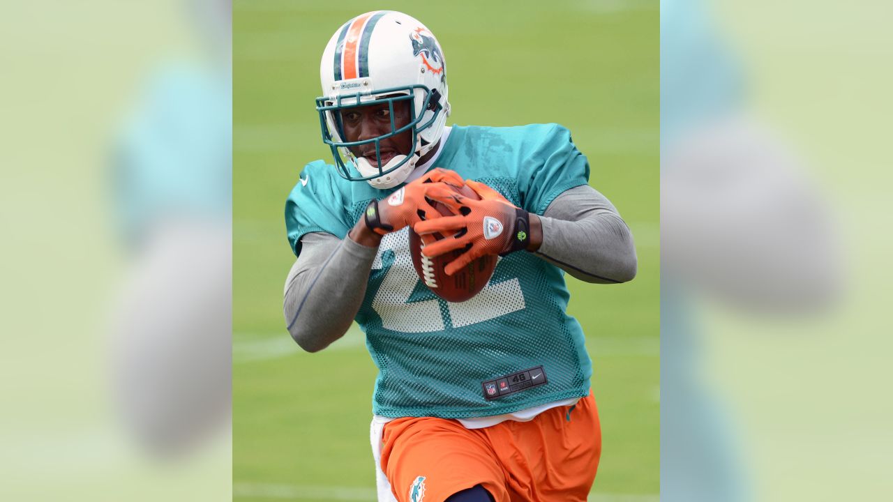 Hard Knocks Miami Dolphins - Meet the Cast