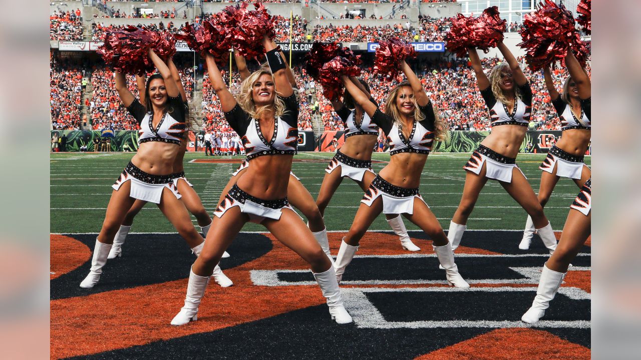 NFL Cheerleaders Nov 15, 2015