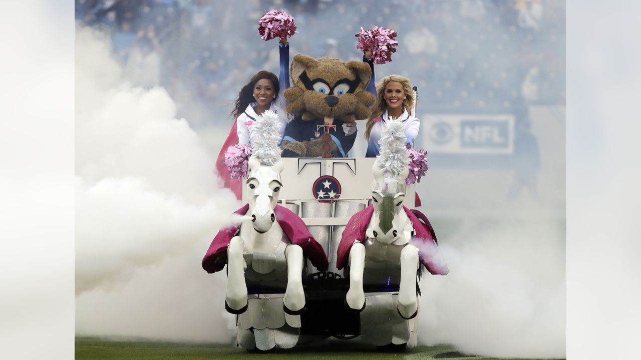 Carolina Panthers Support Breast Cancer Awareness at Sunday's Game for  NFL's Crucial Catch Initiative