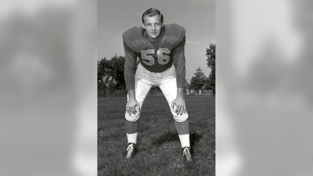 Joe Schmidt Detroit Lions 1953-65. HOF Class '73.  Detroit lions football,  Nfl football teams, Detroit sports