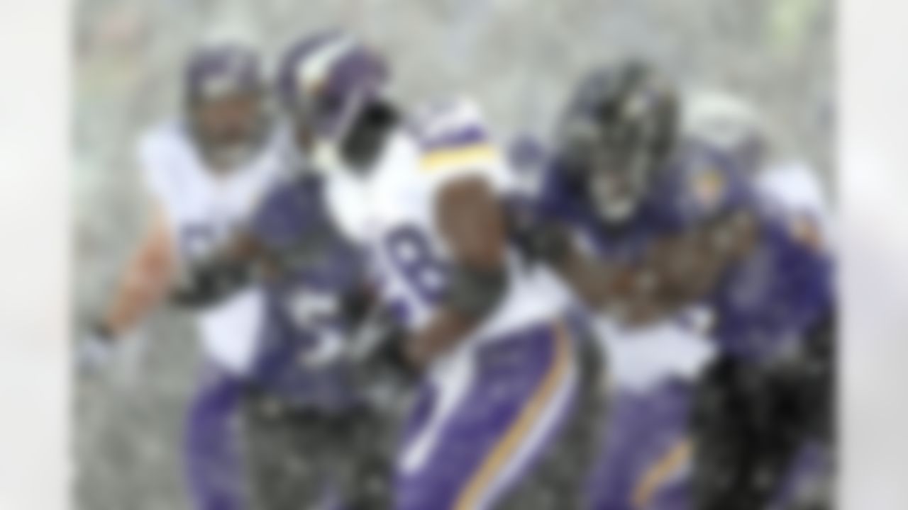Minnesota Vikings running back Adrian Peterson (28) in action against the Baltimore Ravens December 8, 2013 at M&T Bank Stadium in Baltimore, Maryland. Baltimore defeated Minnesota 29-26. (AP Photo/Damian Strohmeyer)