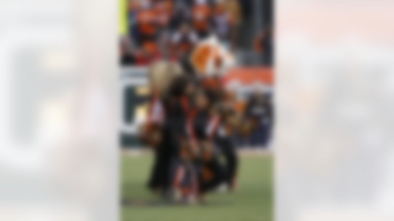 Cincinnati Bengals cheerleaders during an NFL wild-card playoff football game, Saturday, Jan. 9, 2010, in Cincinnati. (AP Photo/Ed Reinke)