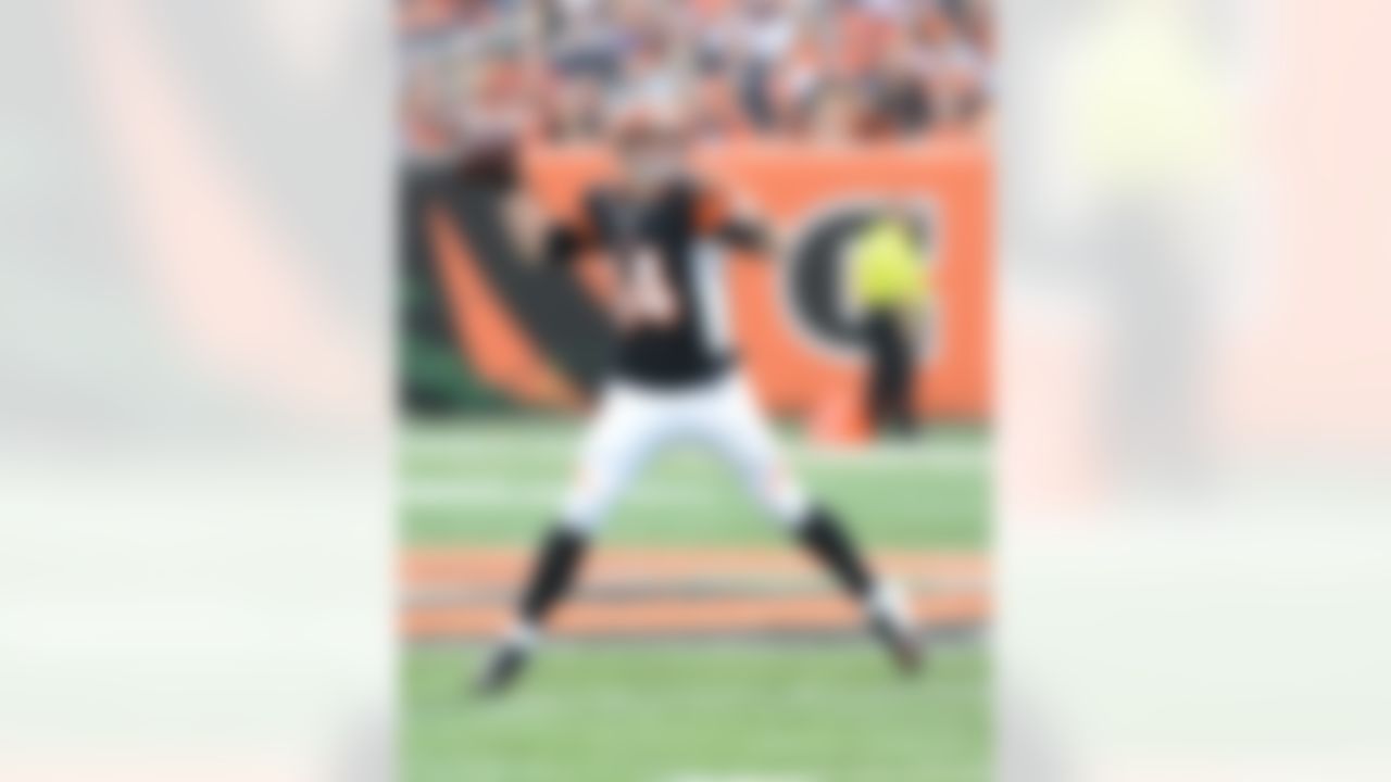 Cincinnati Bengals quarterback Andy Dalton (14) looks for an open receiver during a week 10 football game against the New York Giants on November 11, 2012 in Cincinnati, Ohio (AP Photo/Evan Pinkus)
