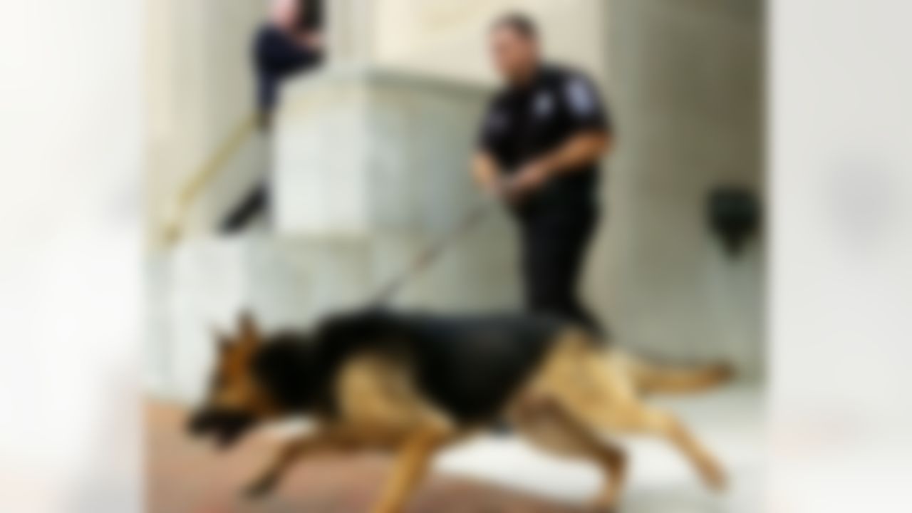 RICHMOND, VA - AUGUST 27: A Richmond Capitol Police canine unit sweeps the federal courthouse prior to an appearance by Atlanta Falcons quarterback Michael Vick August 27, 2007 in Richmond, Virginia. The football star is expected to plead guilty to a federal dogfighting conspiracy charge. The NFL has suspended Vick indefinitely. (Photo by Jonathan Ernst/Getty Images)