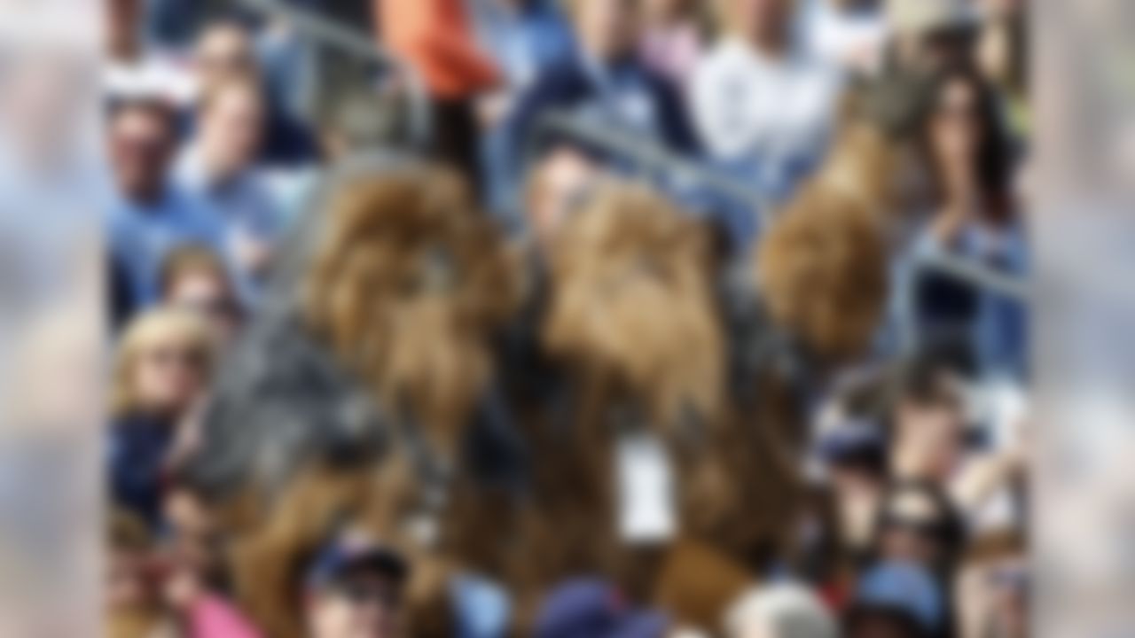 Fans in "Star Wars" Wookie costumes are in the Halloween spirit as they cheer on the Titans.