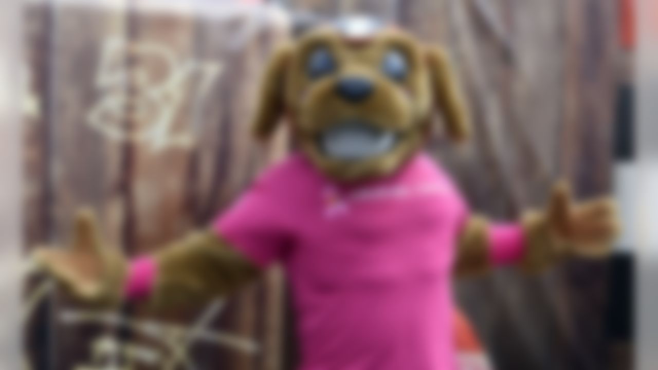 Browns mascot Chomps wears a shirt for Breast Cancer Awareness before an NFL football game between the New York Jets and the Cleveland Browns, Sunday, Oct. 8, 2017, in Cleveland.