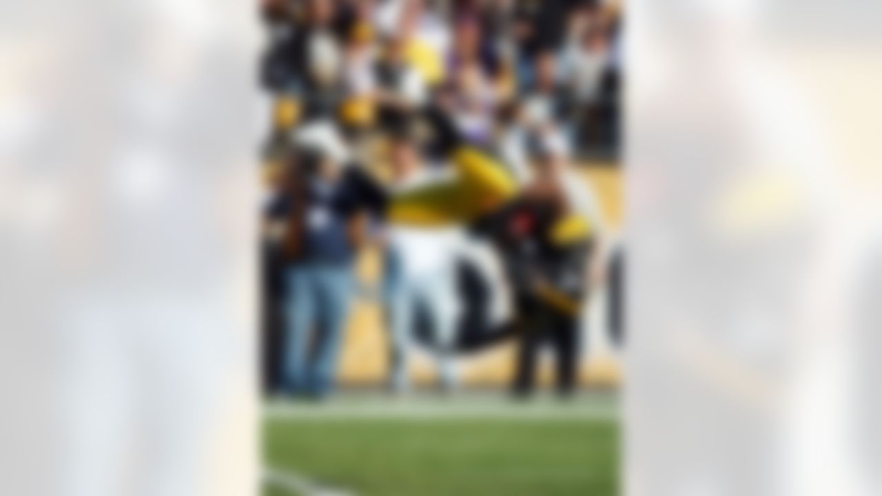 Pittsburgh Steelers wide receiver Mike Wallace (17) catches a 40 yard pass and does a flip into the end zone as he scores a touchdown that gives the Steelers a 10-7 second quarter lead NFL football game against the Minnesota Vikings, October 25, 2009 in Pittsburgh, Pennsylvania. The Steelers won the game 27-17. (AP Photo/Paul Spinelli)