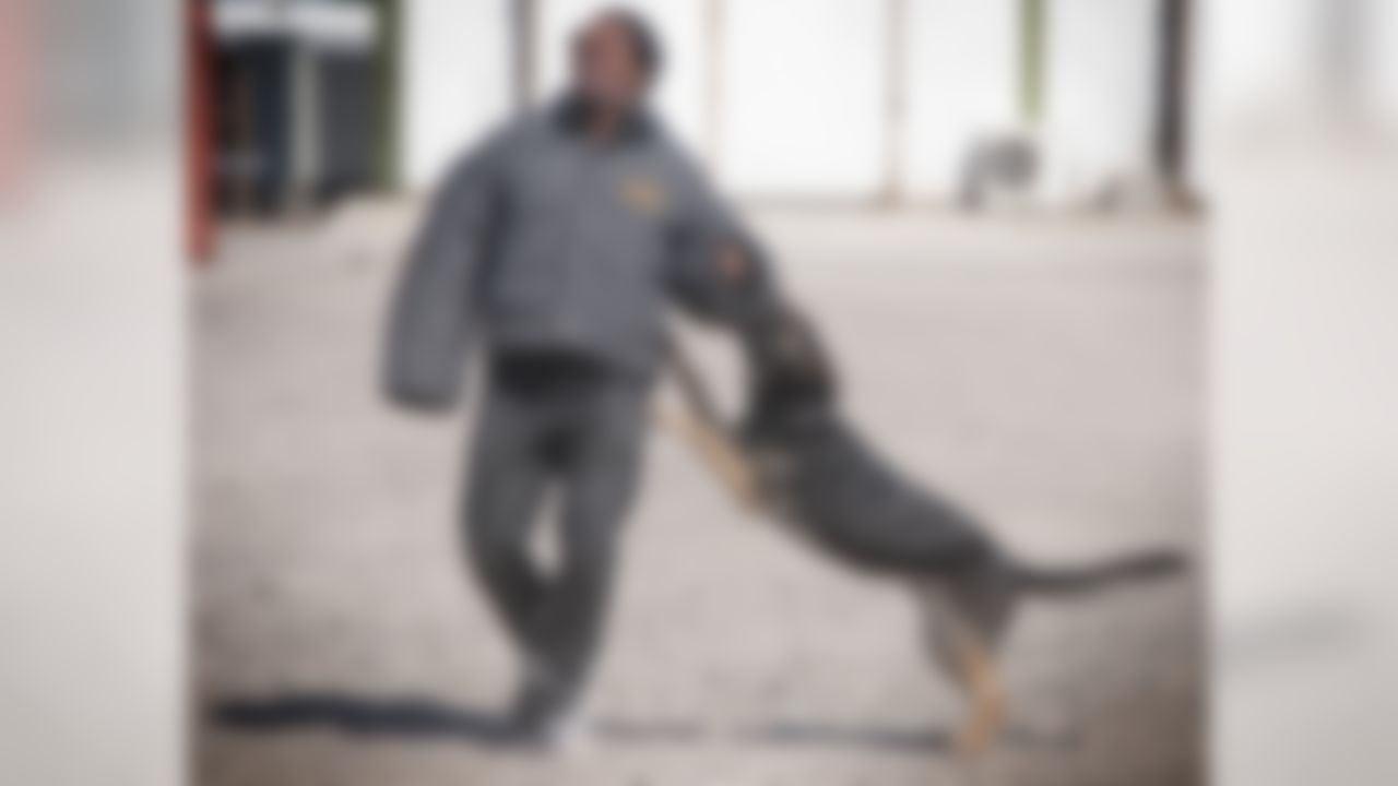 Eleven-year NFL veteran/Travel Channel host Dhani Jones tests the speed and determination of Rino, a military working dog stationed at Camp Arena in Afghanistan.  Fortunately, Jones was wearing a protective training jacket because Rino caught him easily.  (Dave Gatley/USO)