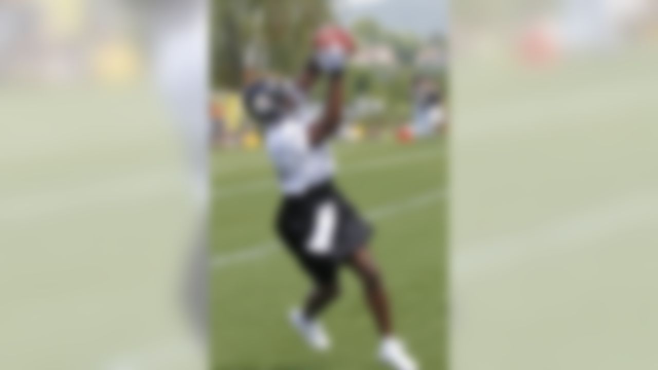 Pittsburgh Steelers wide receiver Antonio Brown makes a catch during practice at NFL football training camp in Latrobe, Pa., Friday, July 27, 2012. (AP Photo/Keith Srakocic)