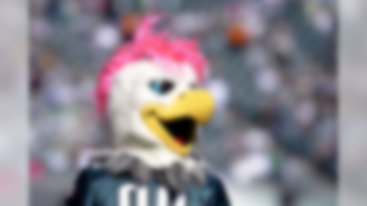 The Philadelphia Eagles mascot wears pink on its head in honor of breast cancer awareness month before an NFL football game against the Dallas Cowboys, Sunday, Oct. 20, 2013, in Philadelphia. (AP Photo/Michael Perez)