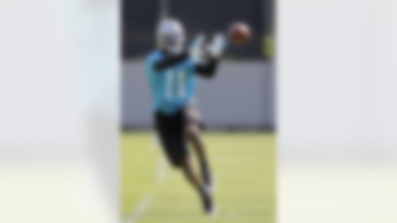 Carolina Panthers' Brandon LaFell catches a ball during a summer practice session for the NFL football team in Charlotte, N.C., Tuesday, June 8, 2010. (AP Photo/Chuck Burton)