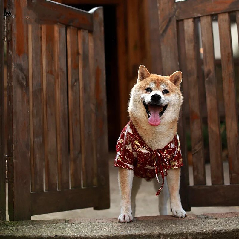 Mode japon Kimono chemise pour chiens chiot chemise Shiba Inu été T-shirt animal de compagnie chien vêtements bouledogue