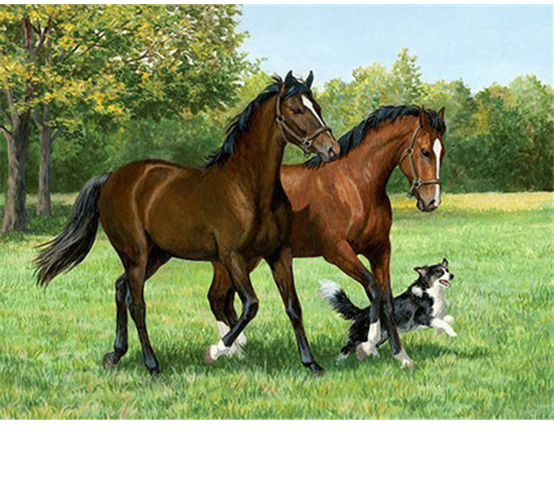 Cheval mere et enfant