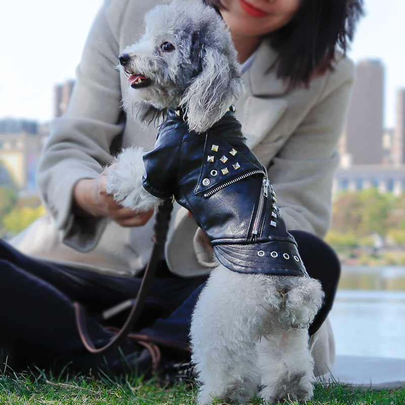 Vêtements en cuir tendance pour animaux – Automne-Hiver  .........  Autumn and Winter Pet Fashion Leather Clothing