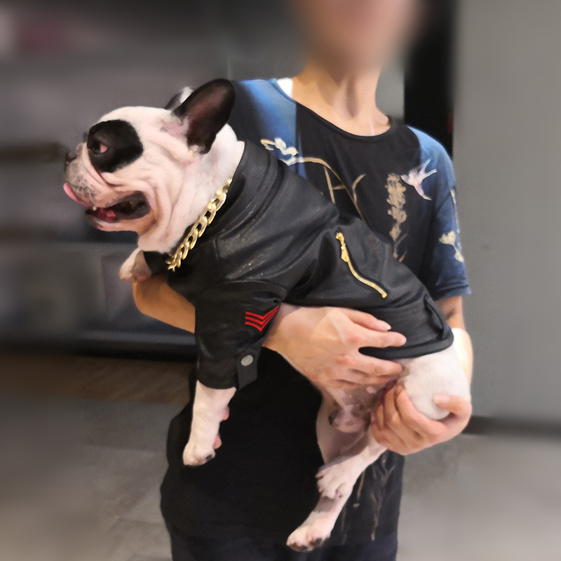 Marque de mode et d'esthétique pour animaux – Vêtements de mode – Vêtements de moto en cuir