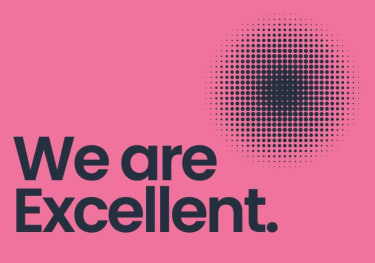 We are excellent - page card