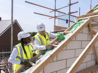 Team on roof looking at insulation