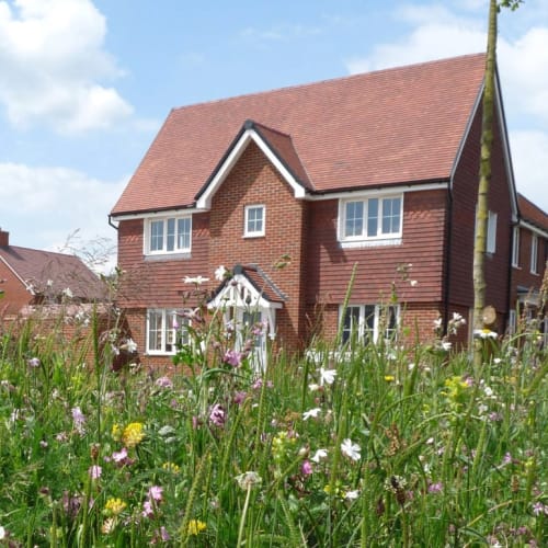 New build house on sunny day with wild flowers in front