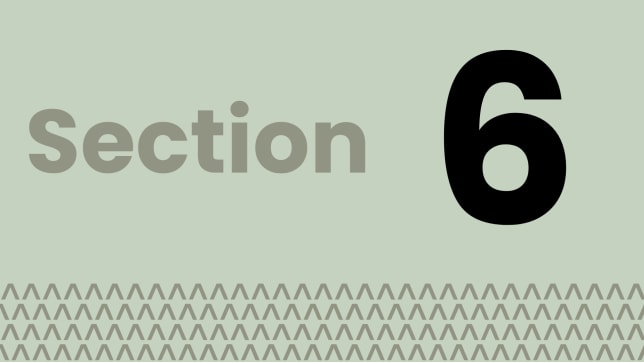 Section 6