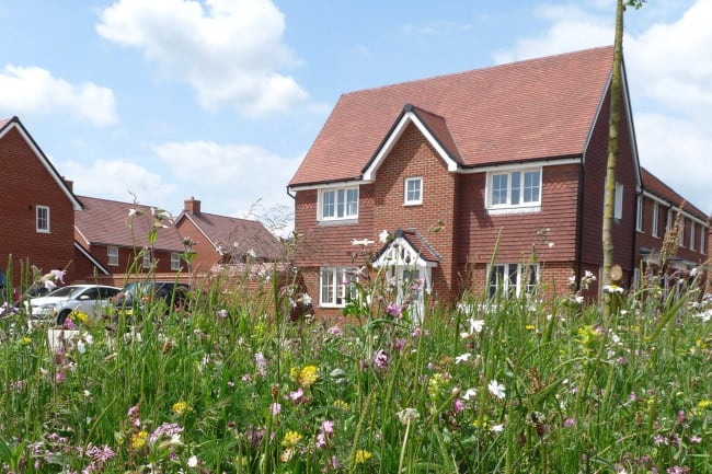 Biodiversity in new housing developments: creating wildlife-friendly communities
